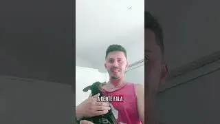 Sou pai de um pet