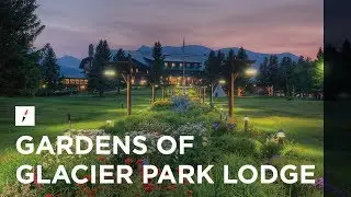 Gardens of Glacier | Perennial beauty at Glacier Park Lodge