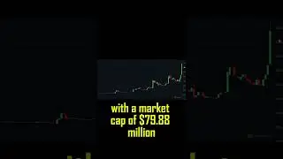 Milady Cult Coin (CULT) Explodes 276% in 30 Days! | Is This the Next Meme Coin Rocket?