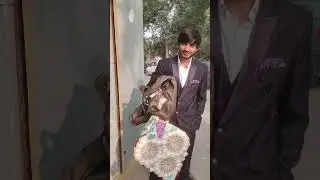 Unique wedding games 🎉🎉