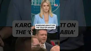 Karoline Leavitt comments on President Trump possibly renaming the Persian Gulf the 