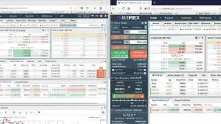BitmeX Baby   Bitcoin 2000$ Soon! (fatherofboobs)