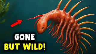 The Most Bizarre Extinct Creatures Ever Found
