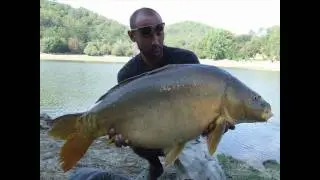 Fuck The World,Go Fishing by Stephane T.  Black Label Baits