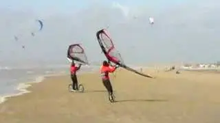 Kitewings on Camber sands