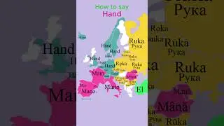 How to say Hand | Human Body | European Languages Comparison #shorts #comparison #map #language
