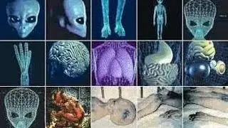 Project Serpo &ndash; The Exchange Program Between Humans and Aliens ✪ Out of Place Discoveries HD