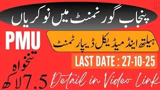 Health Department Latest Jobs 2025 | 7 Lac Salary | PMU Govt. Jobs in Pakistan #jobs #fyp