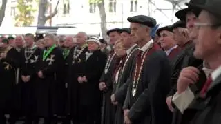 Martinovanje, Ptuj 2016