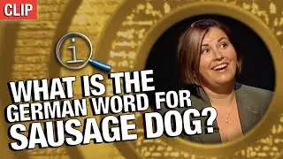 What Is The German Word For 'Sausage-Dog'? | QI