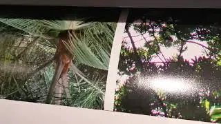 Canon IPF 6300