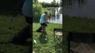 Gypsy Water Mark