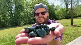 Green Jasper 