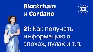 Эпизод 21. Как получать информацию о пулах, эпохах и ассетах в #Cardano?