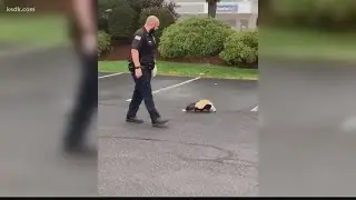 Massachusetts police officer helps skunk