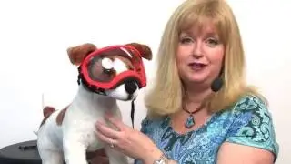 Rex Specs Dog Goggles - Orange