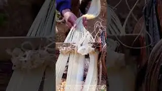 Scraping Abaca Fiber with a Knife! 🔪🌿