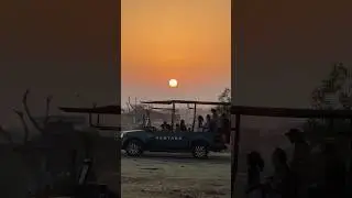 #vantara #jamnagar #sunrise #savannah #gujarat