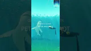Abz&uuml; - #50/50 - Pure  #abz&ucirc;  #adventure