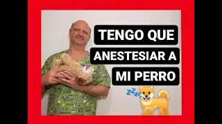 Tengo que anestesiar a mi perro.
