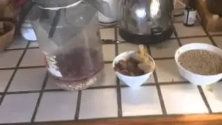 Raw Vegan Ginger Snap