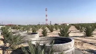 الفرق بين الاحواض البلاستيكية والاسمنتية لتربية الاسماك ، طريقة تمديد التصريف للاحواض،تمديد الاكسجين