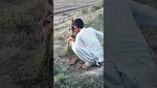 #short video village hand pump  #shorts
