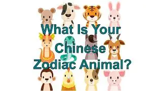 What Is My Chinese Zodiac Animal? Chinese New Year 2018
