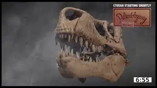 DINOSAUR CHAT 🗨🦖 Chill fossil science Q&A stream (w/ paleontologist Danny Anduza)