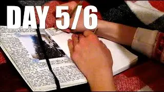 100 дней продуктивности/Day 5/6