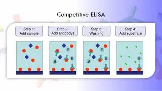 ELISA technique تحليل حيوي 2 سكشن 2  دبلومة الكيمياء الحيوية والتحليل الاكلينيكى