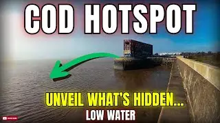 Cod Heaven... or Tackle Graveyard?? | River Humber