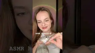 ASMR hamster🐹 #asmr #asmrrelaxing #asmrvideo #asmrsounds #asmrsleep