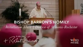 Bishop Barron&rsquo;s Homily - Installation Mass, Diocese of Winona-Rochester