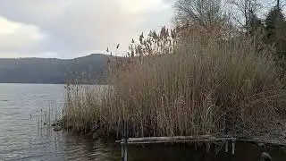 лаго