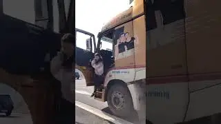 The 22-year-old female drivers should drive semi trailer quickly, and be ruthless when overtaking