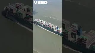 Floating Giants Logistics, Reefer ship, Commercial, Transport goods, Food Transporting, Cold Storage