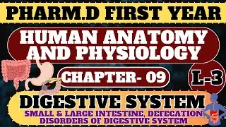 CH-09/L-3 SMALL & LARGE INTESTINE, DEFECATION & DISORDERS OF DIGESTIVE SYSTEM PHARM D FIRST YEAR HAP