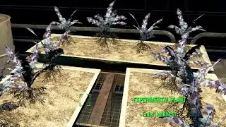 Fallout 4 - Nirnroot Easter Egg