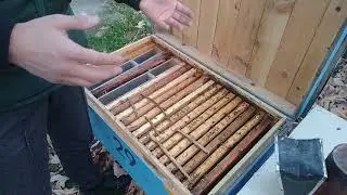 АРИЛАР ҚУШИЛГАНДА УРИШМАСЛИГИ УЧУН !!!