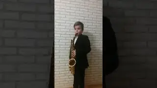Поезд на Чаттанугу . Шиповник(1)