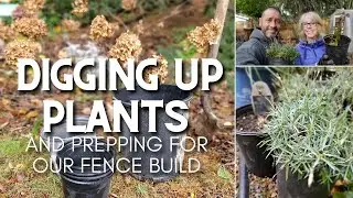 Digging Up Plants + Starting Our Fence Project 😃