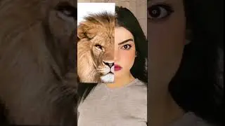 kira kira aq bakal jadi hewan apa yah#meme cast animal#filter #tiktok #viral #funnyshorts #shorts