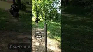 blowgun trickshot #blowgun #dart #arrow #trickshot #trickshots #fyp