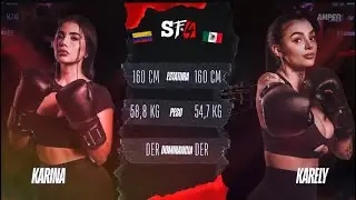 KARELY RUIZ VS KARINA GARC&Iacute;A STREAM FighterS 4