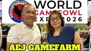 World Gamefowl Expo 2026, AEJ Gamefarm || Reggie Boi