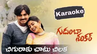 Chiguraku Chatu Karaoke | Gudumba Shankar | Pawan Kalyan, Mani Sharma
