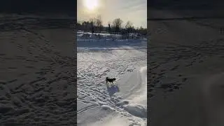 Бэля на зимней реке нашла лунку