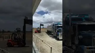 Loading bales of wool. /pinay / farmer / Australia