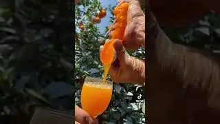 The Worlds Most Juicy White Powder Orange